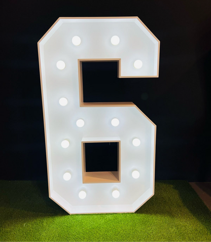 LED Light Up Letters