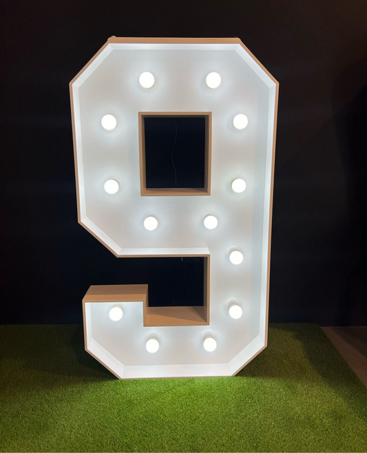 LED Light Up Letters